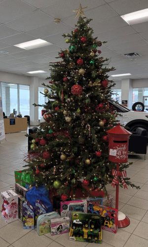 Tree with Donation Box